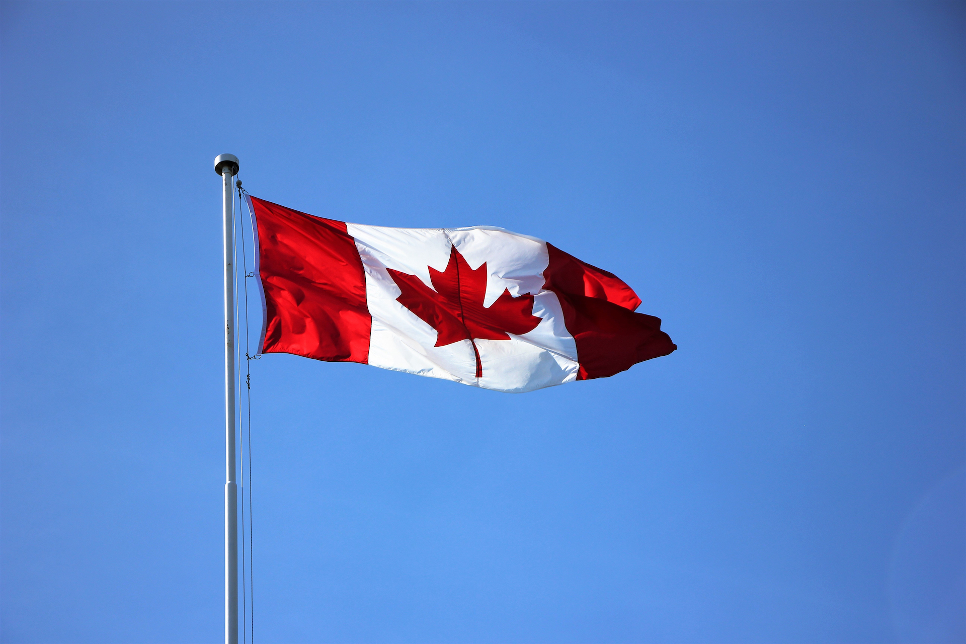 Canadian flag blowing in wind.